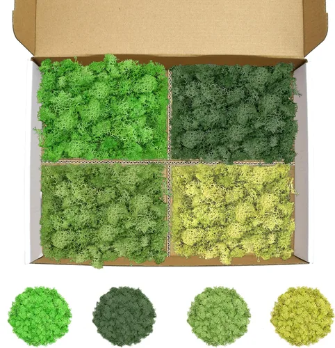 Miniatura 35 de Musgo de reno amarillo preservado de 3.5 onzas para plantas en maceta, decoración artesanal para arte de pared, musgo falso para decoración