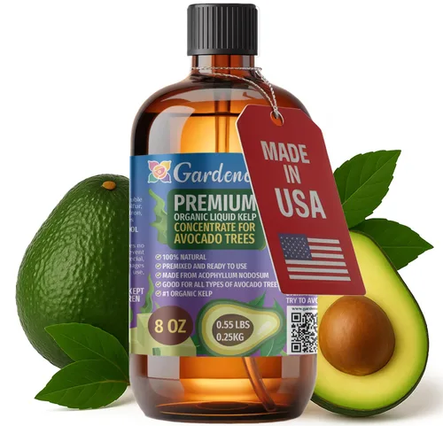 Miniatura 76 de GARDENERA Superalimento orgánico prémium de algas marinas y algas marinas para plantas AGLAONEMA, 8 onzas, concentrado de fertilizante líquido