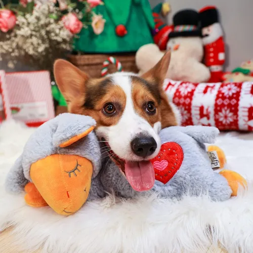 Miniatura 9 de ALL FOR PAWS Juguete de latido del corazón para cachorros para perros, juguetes de alivio de la ansiedad y ayuda para calmar perros, juguete