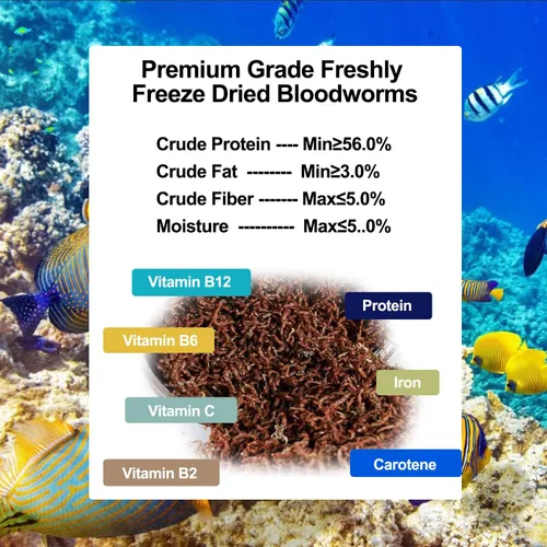 Miniatura 2 de Amzey Blood Worms - Gusanos de sangre liofilizados 100% naturales - Acuario alimento alto en proteínas para peces betta, peces dorados, cíclidos