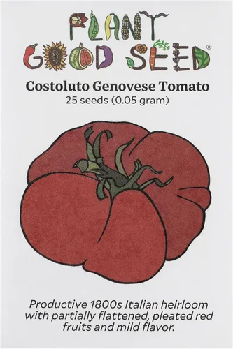 Miniatura 12 de Plant Good Seed Semillas de tomate orgánicas Sasha's Altai – Paquete de 50, semillas tradicionales para plantar verduras – Suministros