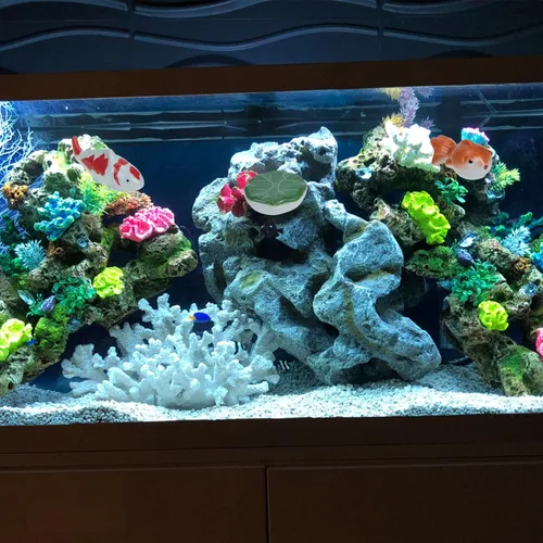 Miniatura 8 de BESPORTBLE Figuras de peces de porcelana, flotadores de pecera, estatua de pez de cerámica, decoración de bolas, decoración de acuario, criatura