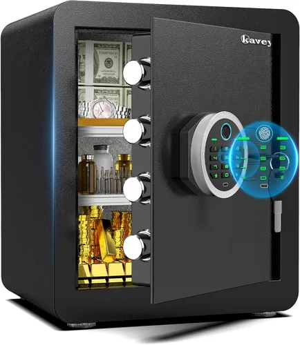 Kavey 2.0 Caja de Seguridad Biométrica con Lector de Huellas Dactilar, Caja de Seguridad para el Hogar con Sistema de Alarma Dual, Caja de Seguridad