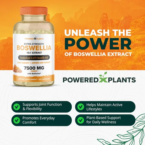 Miniatura 3 de Boswellia Serrata Suplemento de apoyo articular de Powered by Plants - 65% de ácidos boswélicos de alta potencia con bioperina - Apoya la inmunidad