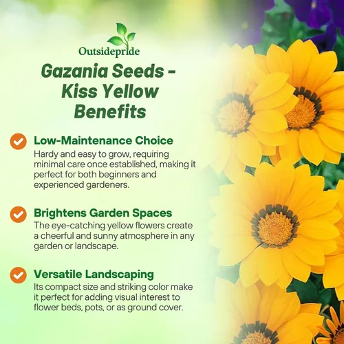 Miniatura 3 de Outsidepride Gazania Kiss - Plantas de jardín tolerantes al calor y la sequía y al suelo, 25 semillas