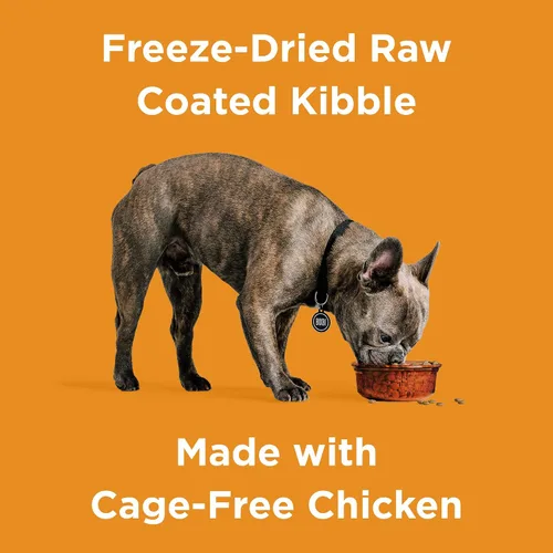Miniatura 2 de Comida seca para perros BIXBI Rawbble, pollo, 4 libras - Hecha en EE. UU. con carne fresca - Sin harina de carne, maíz, soja o trigo - Comida cruda