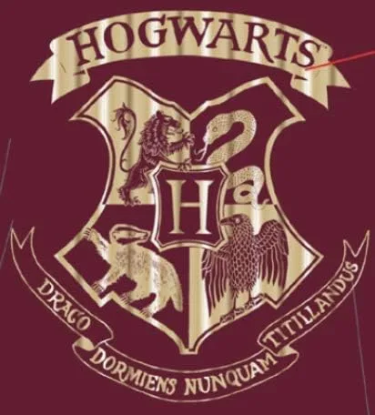 Miniatura 5 de Harry Potter Hermione Hogwarts - Pijama de camisón con escudo dorado 66 x