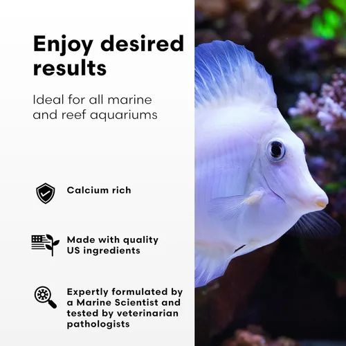 Miniatura 3 de Brightwell Aquatics Calcion - Suplemento de calcio iónico concentrado para acuarios de arrecifes y agua salada Apoya el crecimiento de coral