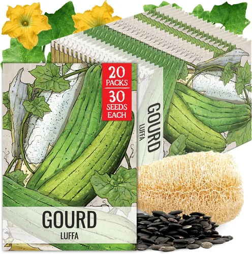 Miniatura 32 de Seed Needs Semillas de calabacín para plantar calabaza de verano Black Beauty, sin OMG, reliquia y sin tratar, rendimientos prolíficos de deliciosos