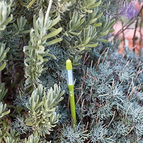 Miniatura 6 de Sustee Aquameter (2 verdes, medianos) - Medidor de humedad del suelo de plantas, monitor, sonda, indicador - Lo mejor para plantas en maceta