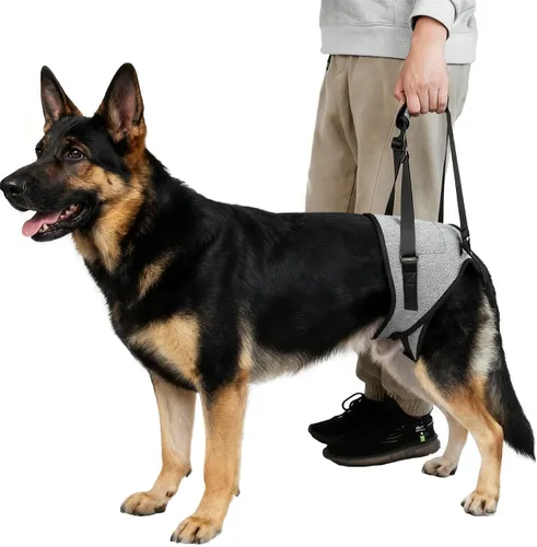 Miniatura 3 de Arnés de elevación para perros, arnés de soporte para patas traseras, arnés de soporte trasero ajustable, color gris, pequeño