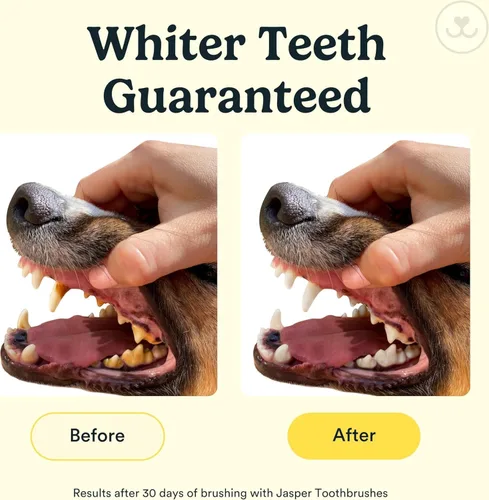 Miniatura 2 de Jasper Cepillo de dientes para perros, kit de cepillado de dientes de perro de 360 grados, cepillo de dientes para gatos, kit de cuidado dental