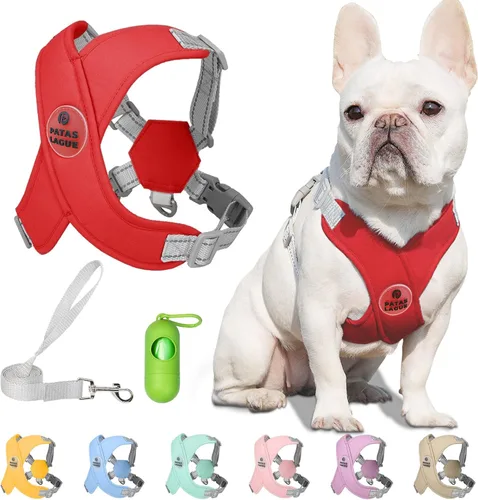 Miniatura 25 de Patas Lague Juego de arnés para perro con correa, ajustable, suave, acolchado, chaleco de entrada para perro, sin estrangulamiento, sin tirones