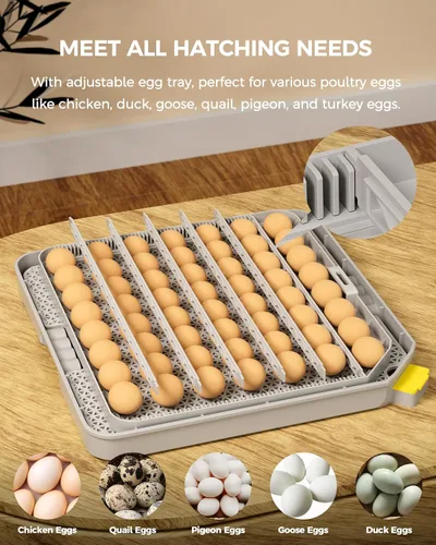 Miniatura 6 de Incubadora de 48 huevos para eclosionar con giro automático de huevos y control de humedad, vela de huevos, incubadora de huevos de aves de corral