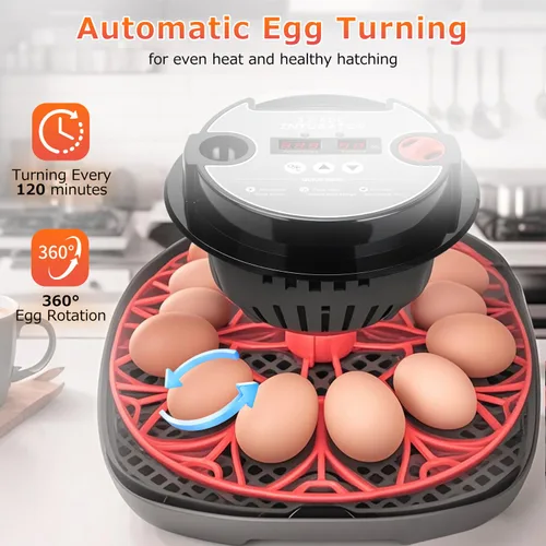 Miniatura 5 de 12 incubadoras de huevos para incubar huevos, incubadora automática de huevos con control de temperatura, control de humedad y pantalla para huevos