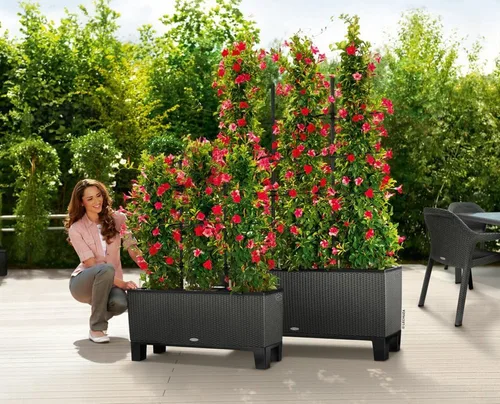 Miniatura 3 de Lechuza Pedestal para macetas Trio 30, L38.6 W12 H5.9 pulgadas