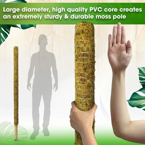 Miniatura 4 de DUSPRO Poste no doblable de 59 pulgadas para plantas trepadoras grandes, poste de musgo grande para Monstera, estacas para plantas