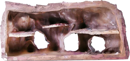 Miniatura 7 de Penn-Plax Grotto Natural Cliff Rock-Scape - Decoración de terrario y acuario para reptiles, anfibios, peces y otros animales pequeños