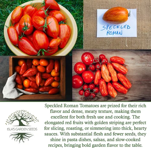 Miniatura 6 de Semillas de tomate romano moteadas (Lycopersicon lycopersicum) – Más de 100 semillas tradicionales sin OMG de Isla's Garden Seeds, pasta a rayas