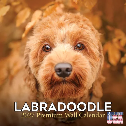 Miniatura 178 de Calendario 2025 2026 de cachorros Cocker Spaniel - Calendario mensual de pared de raza de perro - 12" x 24" abierto - Papel grueso sin sangrado