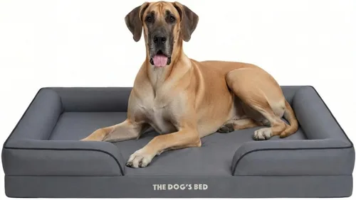 The Dog's Bed - Cama para perros de espuma con soporte para perros XXL, Oxford gris, cama para perro lavable con forro impermeable extraíble, base