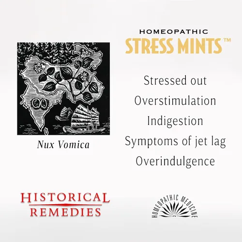 Miniatura 4 de Mentas antiestrés (paquete de 12) Pastillas homeopáticas para ayudar al estrés y la digestión, sabor a menta orgánico, vegano y sin gluten, sin