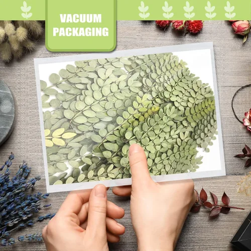 Miniatura 7 de Hojas secas prensadas naturales para resina, 42 piezas de hojas espinosas secas reales para arte de resina, manualidades, tarjetas, álbumes