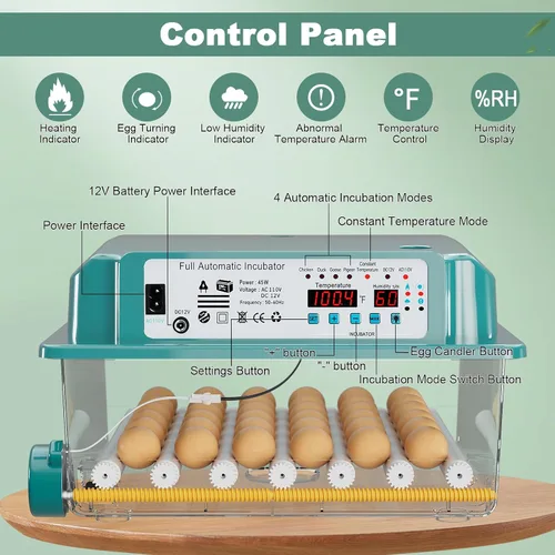 Miniatura 5 de CoInceptus 16 incubadoras de huevos para incubar huevos, incubadora de huevos con giro automático de huevos y control de temperatura, incubadoras