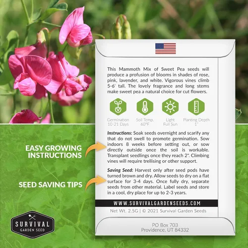 Miniatura 2 de Survival Garden Seeds - Semilla de guisante dulce de mamut para plantar - Paquete con instrucciones para plantar y cultivar flores fragantes en su
