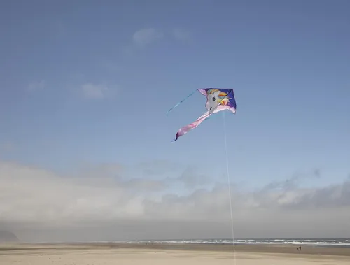 Miniatura 2 de In the Breeze Cometa Fly-Hi de 45 pulgadas, cometa de una sola línea, tela Ripstop, línea y bolsa incluidas Unicornio
