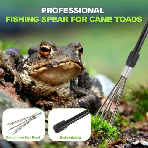 Miniatura 3 de Arpón de pesca Lanza Gig Gaff tenedor gancho para rana caña sapo ranas toro Bufo platija pez topos quitar trampa captura