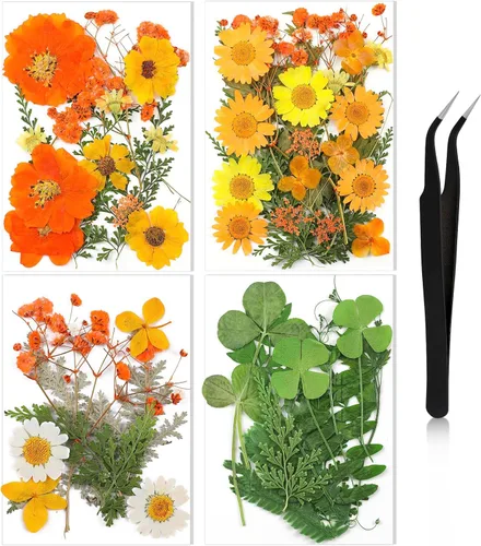 Miniatura 8 de Nuanchu Flores secas prensadas negras para manualidades, flores secas góticas, flores silvestres prensadas naturales a granel con pinzas para molde
