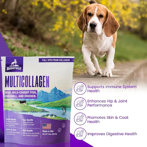 Miniatura 7 de Péptido multicolágeno colágeno líquido diario para perros, colágeno de perro, membrana en polvo de cáscara de huevo para perros - artritis, salud