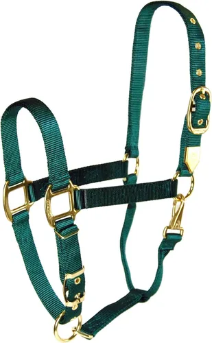 Miniatura 20 de Hamilton, Halter de 1 pulgada con barbilla ajustable, azul baya, 800-1100 libras