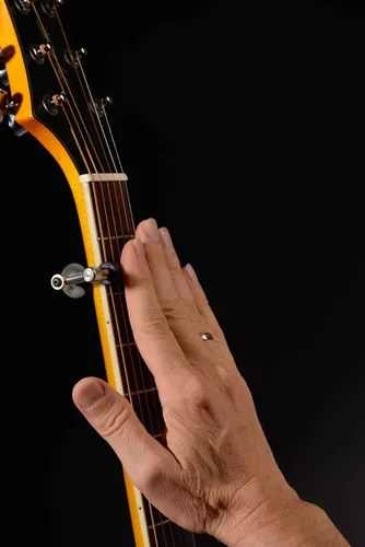 Miniatura 4 de Cejilla Planeador