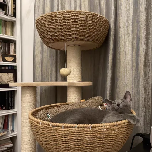 Miniatura 3 de Árbol Moderno de Madera para Gatos Grandes, Torres Sólidas de Árboles para Gatos de Roble de Ratán de Lujo, 3 Nidos de Gatos Tejidos y Cojines