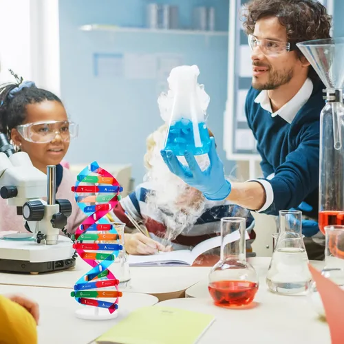 Miniatura 8 de NUOBESTY Kit de modelo de ADN, modelo de estructura de doble hélice, 13 pulgadas para ensamblar ayuda docente de biología con soporte