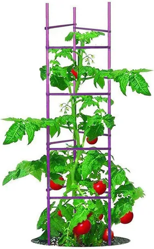 Jaula de tomate de 5 pies de alto sin empalme, paquete de 6 estacas de tomate grandes, estacas para plantas de jardín, soportes de escalada, 40
