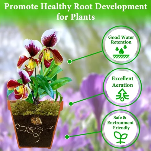 Miniatura 3 de Halatool Musgo de bosque verde de 1.1 libras, musgo esfagnum natural de 25 cuartos para plantas, musgo de orquídea esponjoso para trasplante