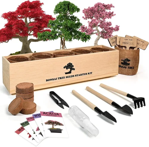 Meekear Kit de árbol bonsái con kit completo de iniciación de crecimiento, gran regalo de bricolaje para cultivar en maceta para adultos