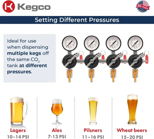 Miniatura 5 de Kegco Regulador secundario, calibre cuatro