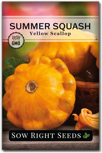 Miniatura 7 de Sow Right Seeds - Semilla de calabaza vieira amarilla para plantar - Paquete de reliquia sin OMG con instrucciones para plantar un huerto casero
