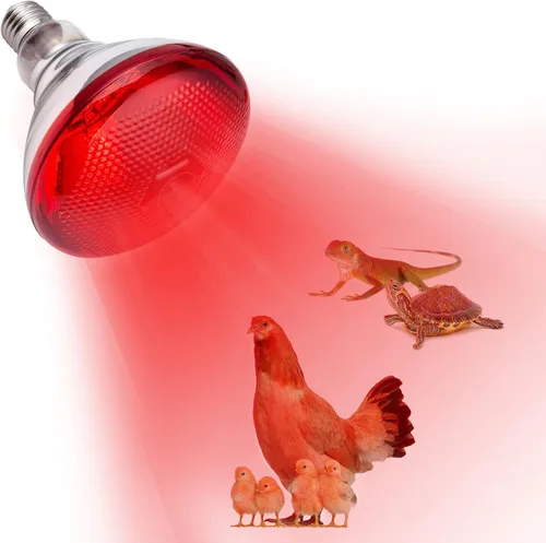 Lámpara de calor para gallinas, gallinero, incubador y bombilla de calor para reptiles, 150 vatios, luz roja infrarroja