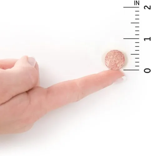 Miniatura 8 de Garden of Life - Probióticos para niños Probióticos orgánicos formulados para niños, sandía-acidophilus y probióticos promueve el sistema