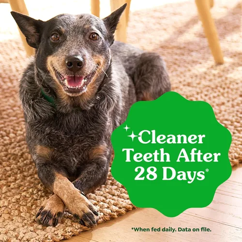 Miniatura 5 de Greenies Golosinas dentales naturales para perros adultos recomendadas por veterinarios, tamaño pequeño, sabor original, paquete de 3 onzas, 5