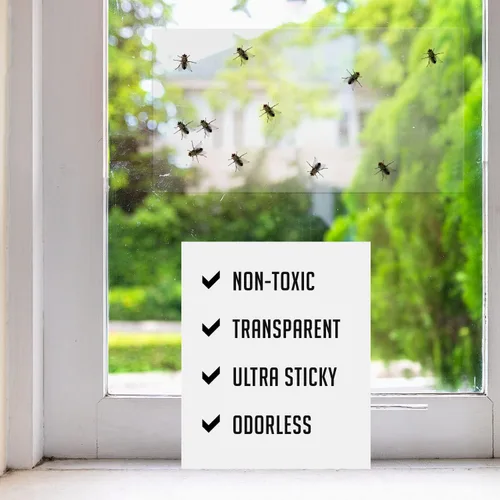 Trampas para Moscas de Ventana para Interiores Claras (Paquete de 30) - Trampas para Moscas de Ventana para Interiores Adhesivas, Trampas para