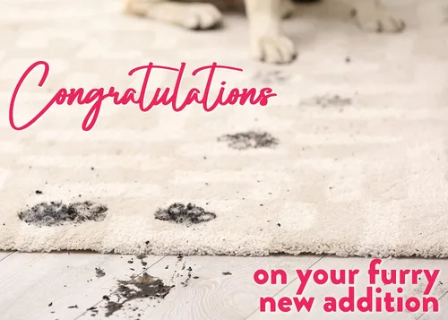 Miniatura 10 de Glory To Dog Desata el paquete de 3 tarjetas de felicitación Felicitaciones por tu nuevo cachorro: ¡Desata la diversión!/Desata el amor!/Libera