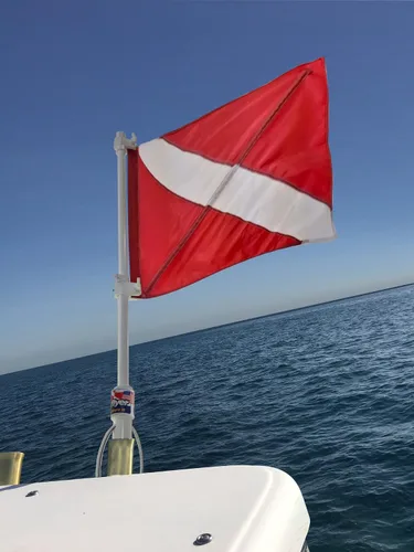 Miniatura 7 de SPEARFISHING WORLD Bandera de buceo con poste para barco T - Top y soporte de caña de seguridad para buceo pesca submarina buceo apnea y esnórquel