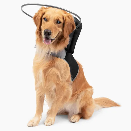 Miniatura 9 de Muffin's Halo® - El halo original para perro ciego Arnés y collar de parachoques accesorio para una navegación segura y confianza - Negro, talla 1