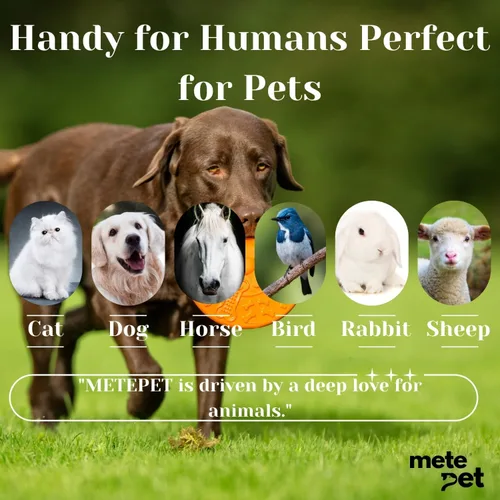 Miniatura 2 de Vetromycin pomada oftálmica para mascotas para perros y gatos 1/8 oz /5gr, 1 tubo - Cuidado ocular diario suave, aplicación tópica fácil